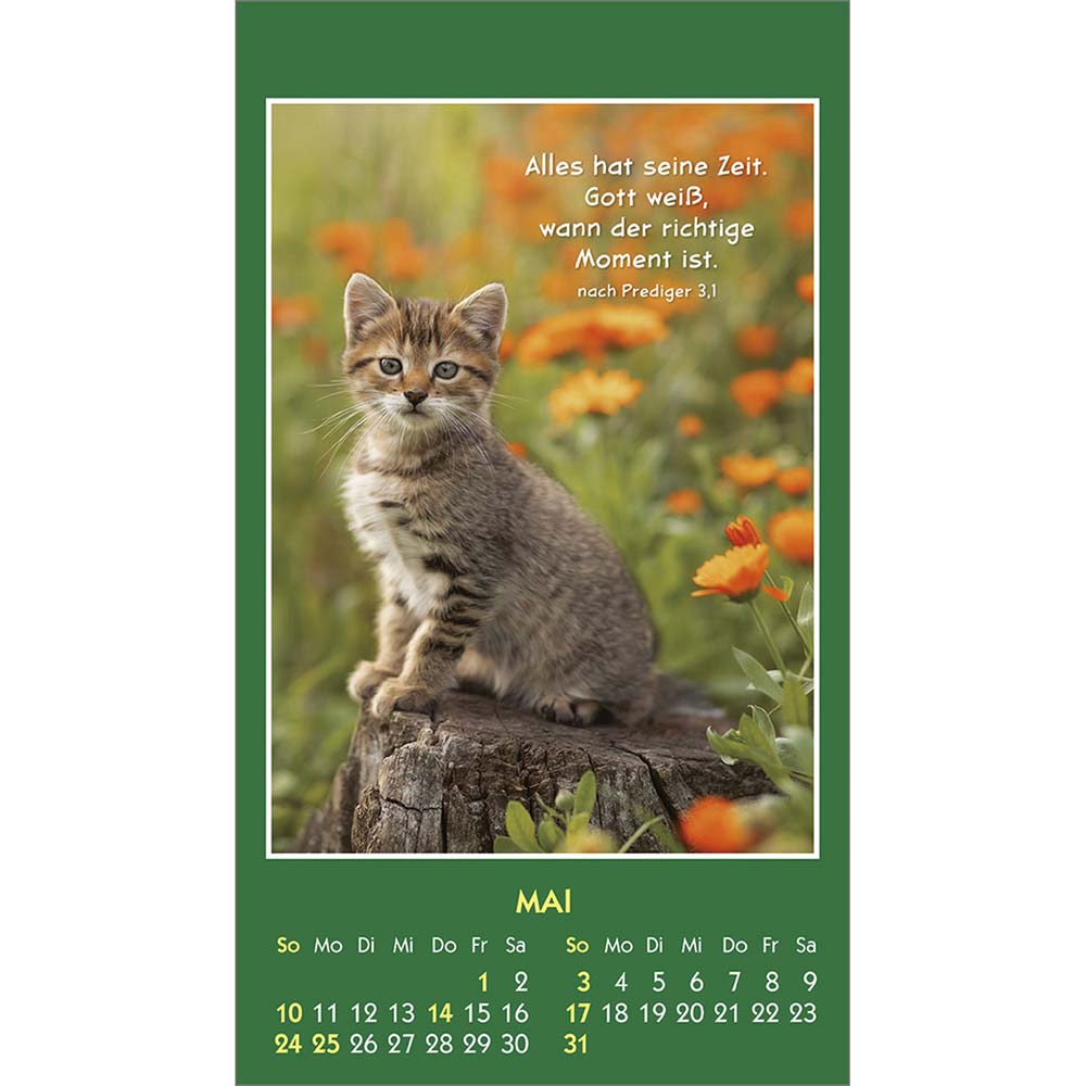 Hallo Du 2026 - Aufkleber-Kalender Hallo Du 2026 - Aufkleber-Kalender