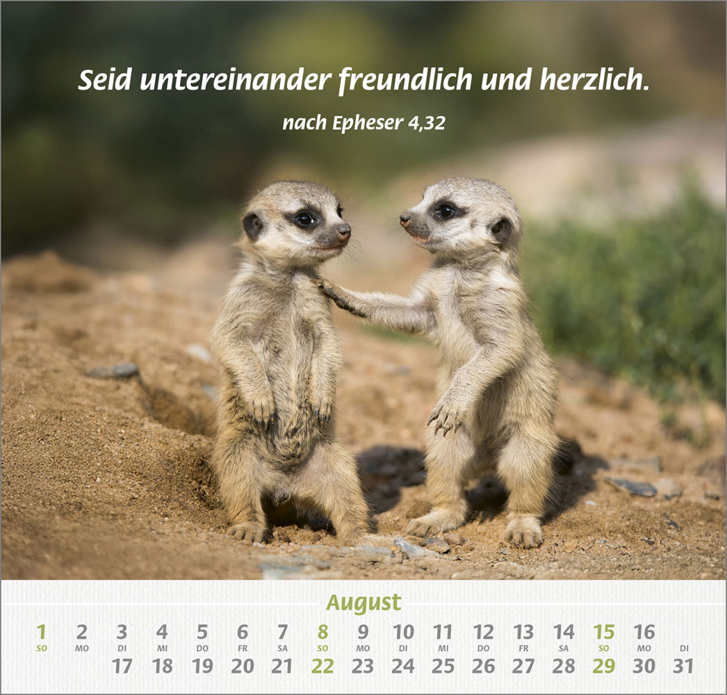 Ich hab dich gern 2027 - Wandkalender