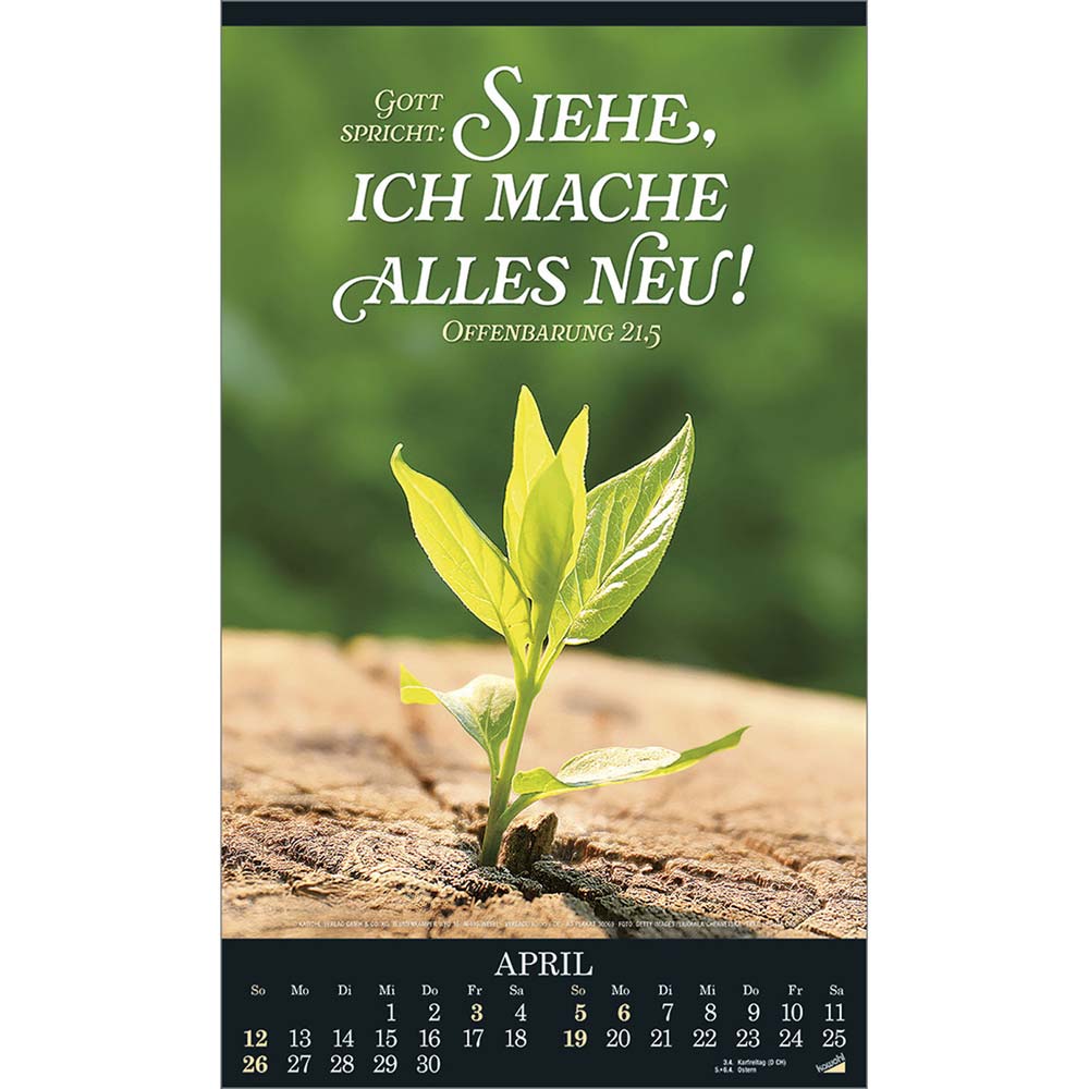 Alles in uns schweige 2026 - Wandkalender