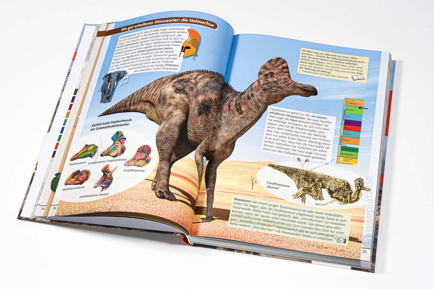 Dinosaurier und die Bibel
