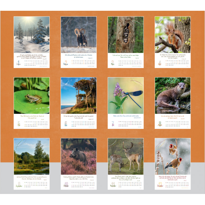 Natur 2026 - Fotokalender
