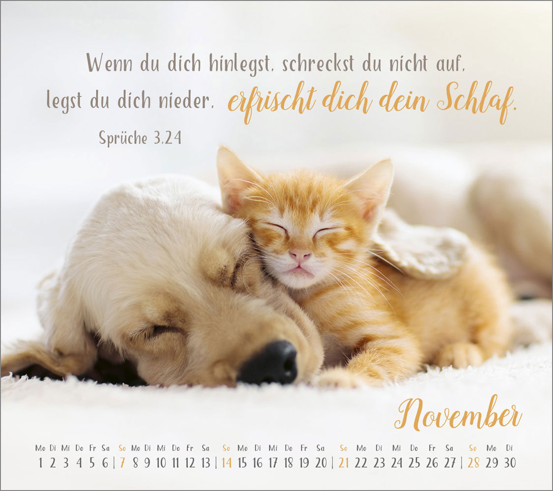 Segensworte 2027