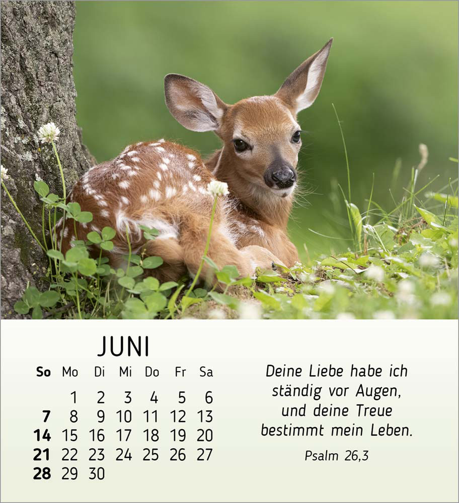 Meine kleinen Freunde 2026