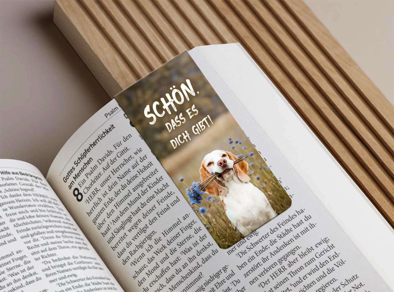 Magnetlesezeichen "Hund - Schön, dass es dich gibt"