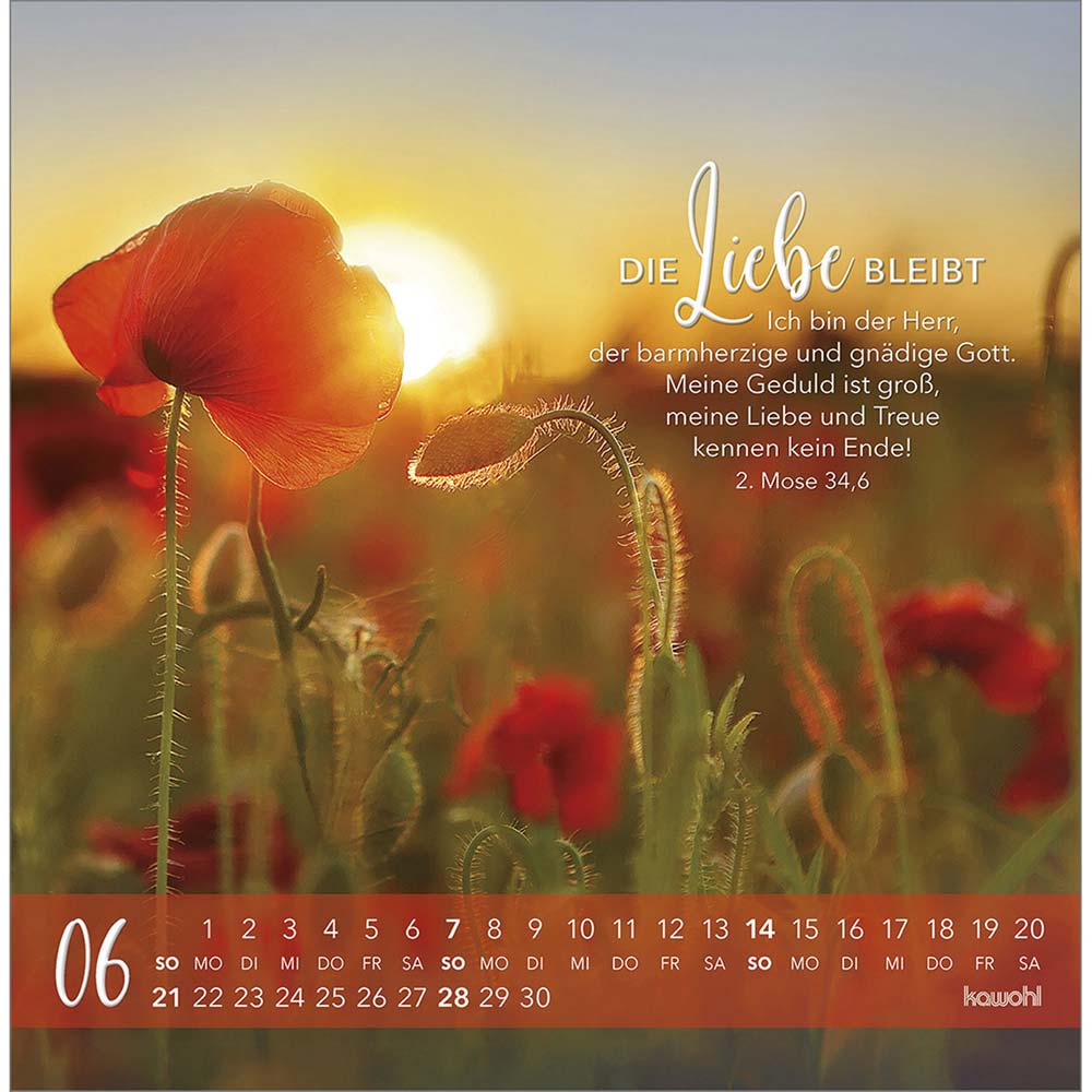 Die Liebe bleibt bestehn 2026 - Postkartenkalender