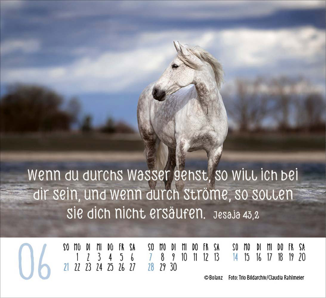 Pferde 2026 - Minikalender  