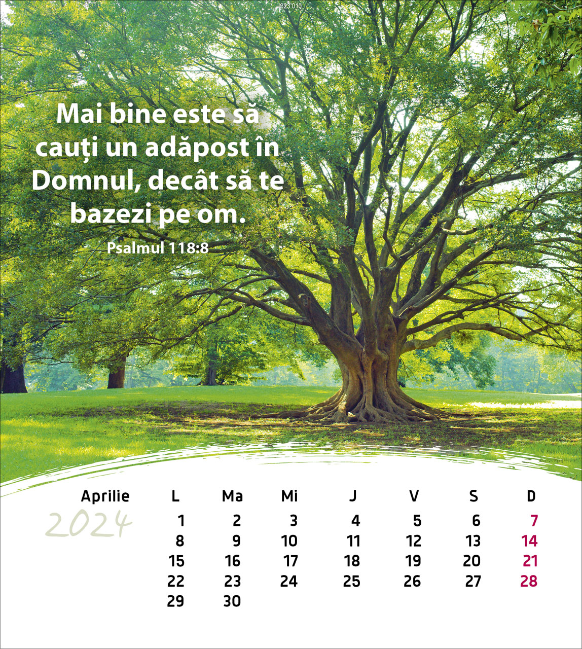 Leben für Dich 2024 - Postkartenkalender Leben für Dich 2024 - Postkartenkalender