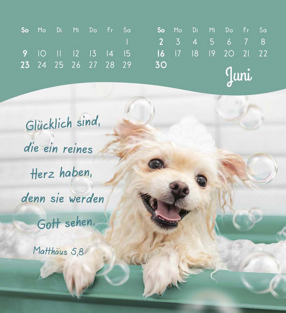 Frohe Tage 2024 Frohe Tage 2024