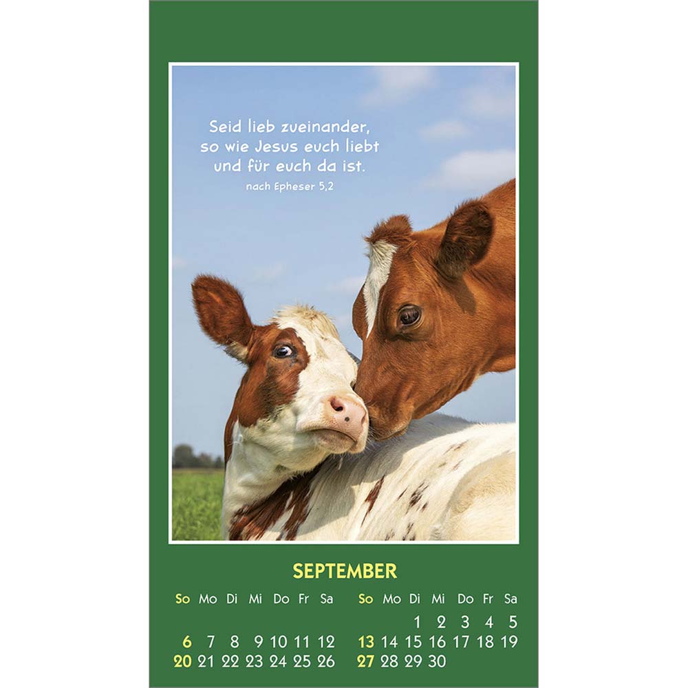 Hallo Du 2026 - Aufkleber-Kalender Hallo Du 2026 - Aufkleber-Kalender