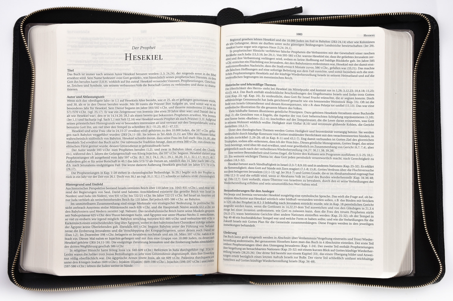 184775001_07 MacArthur Studienbibel - Hardcover mit Rindlederhülle