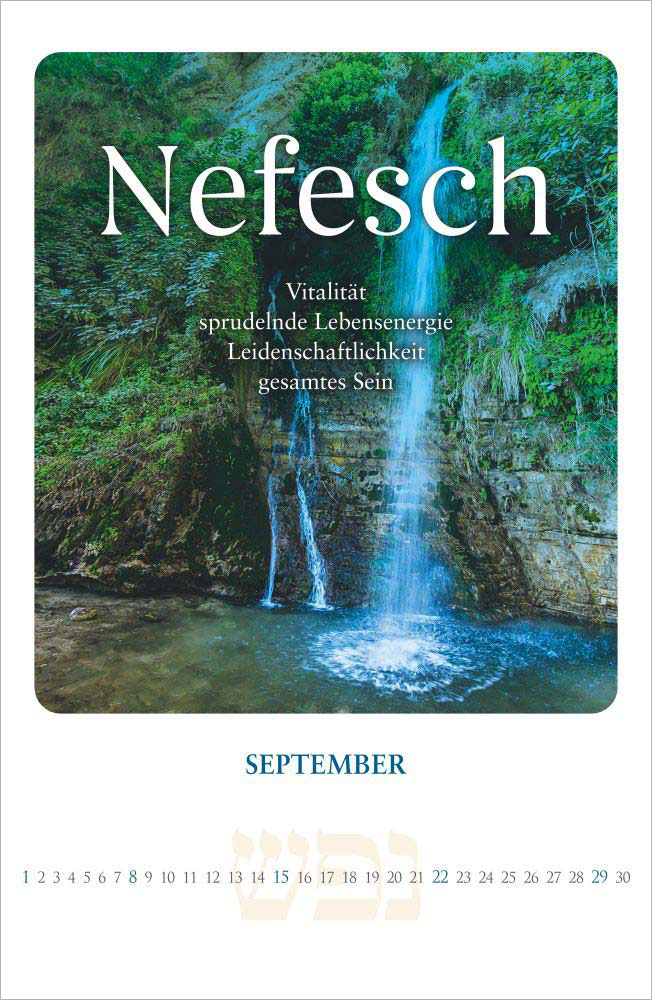 Shalom - Friede sei mit dir 2024 - Wandkalender Shalom - Friede sei mit dir 2024 - Wandkalender
