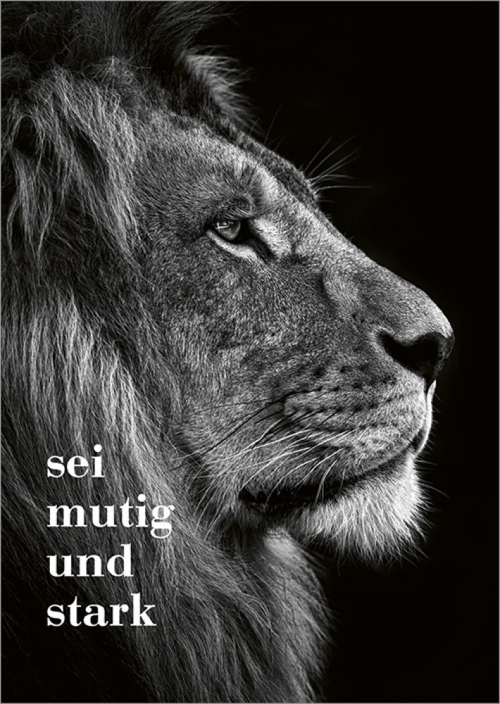 Gottes Segen - Postkarten-Set
