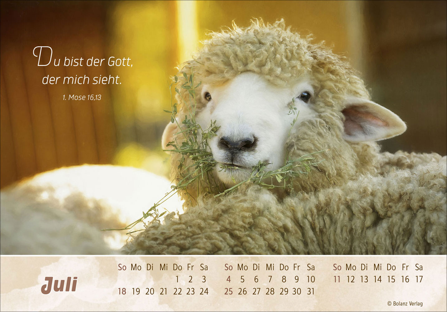Der Gute Hirte 2027 - Postkartenkalender