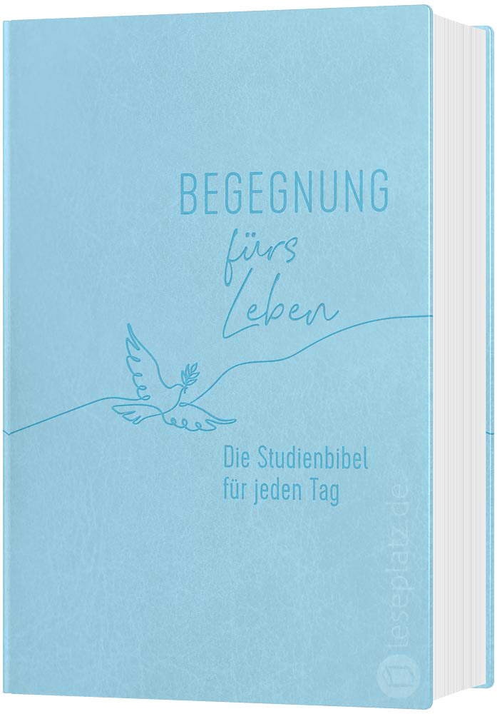 Begegnung fürs Leben - Kunstleder