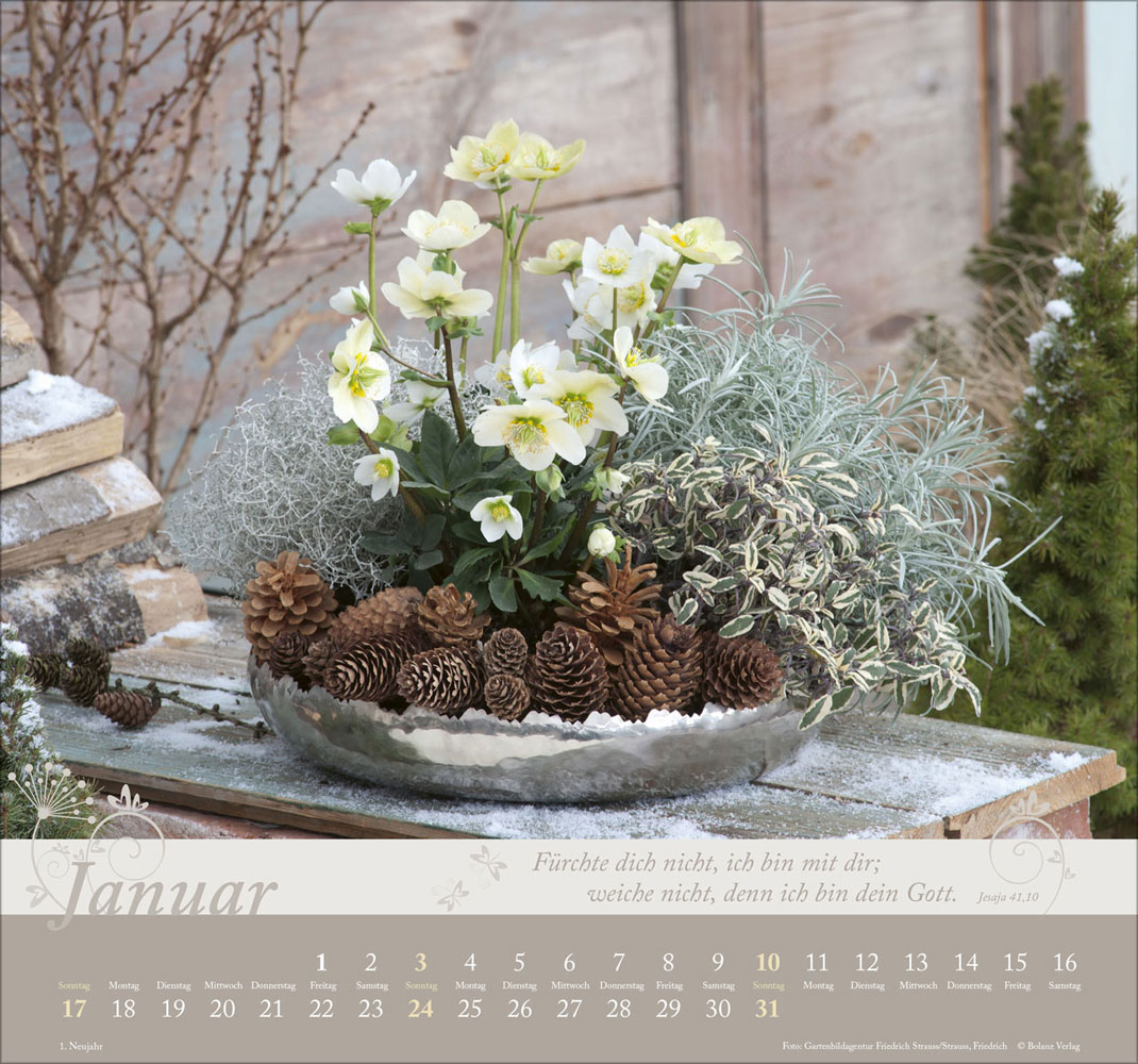 Im Garten zuhause 2027 - Wandkalender