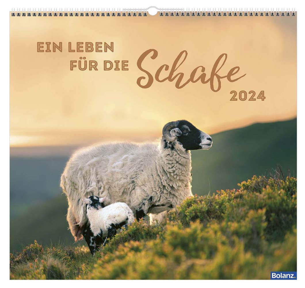 Ein Leben für die Schafe 2024 - Wandkalender