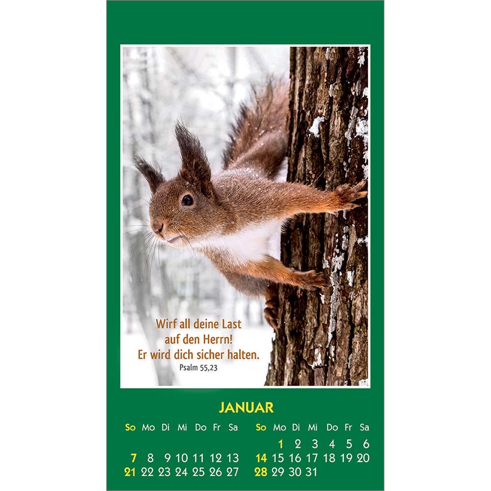 Hallo Du 2024 - Aufkleber-Kalender