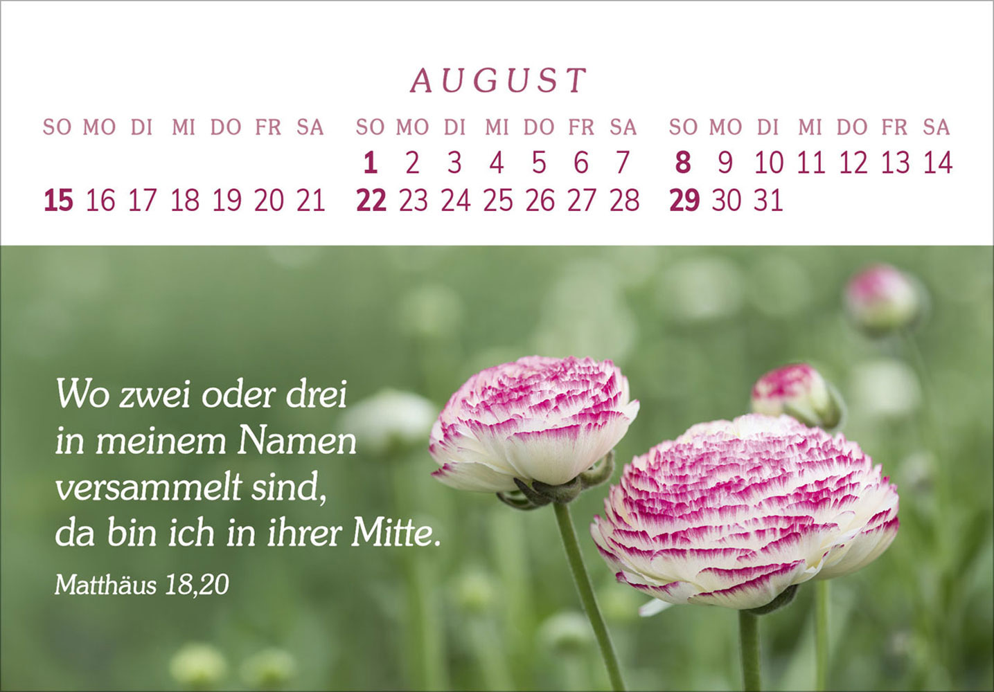 Das Geschenk der Freude 2027