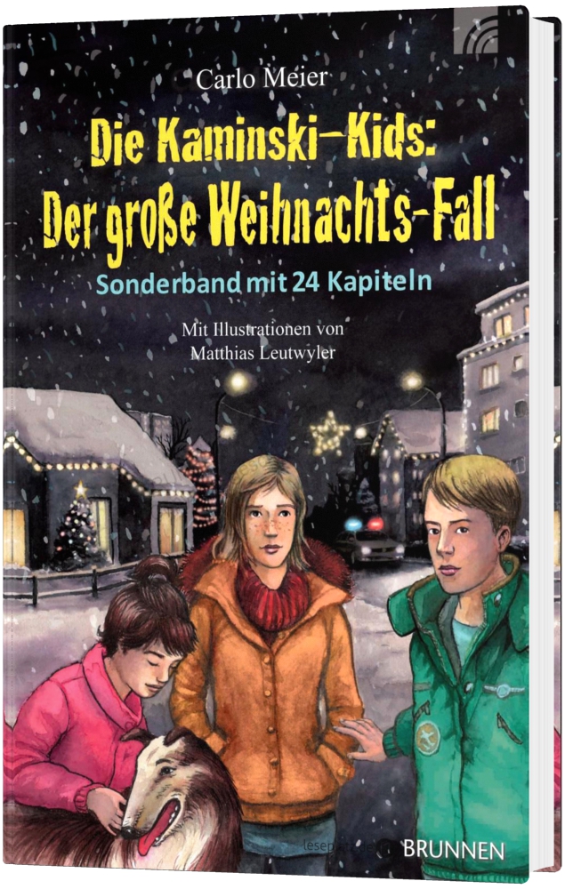 Der große Weihnachts-Fall