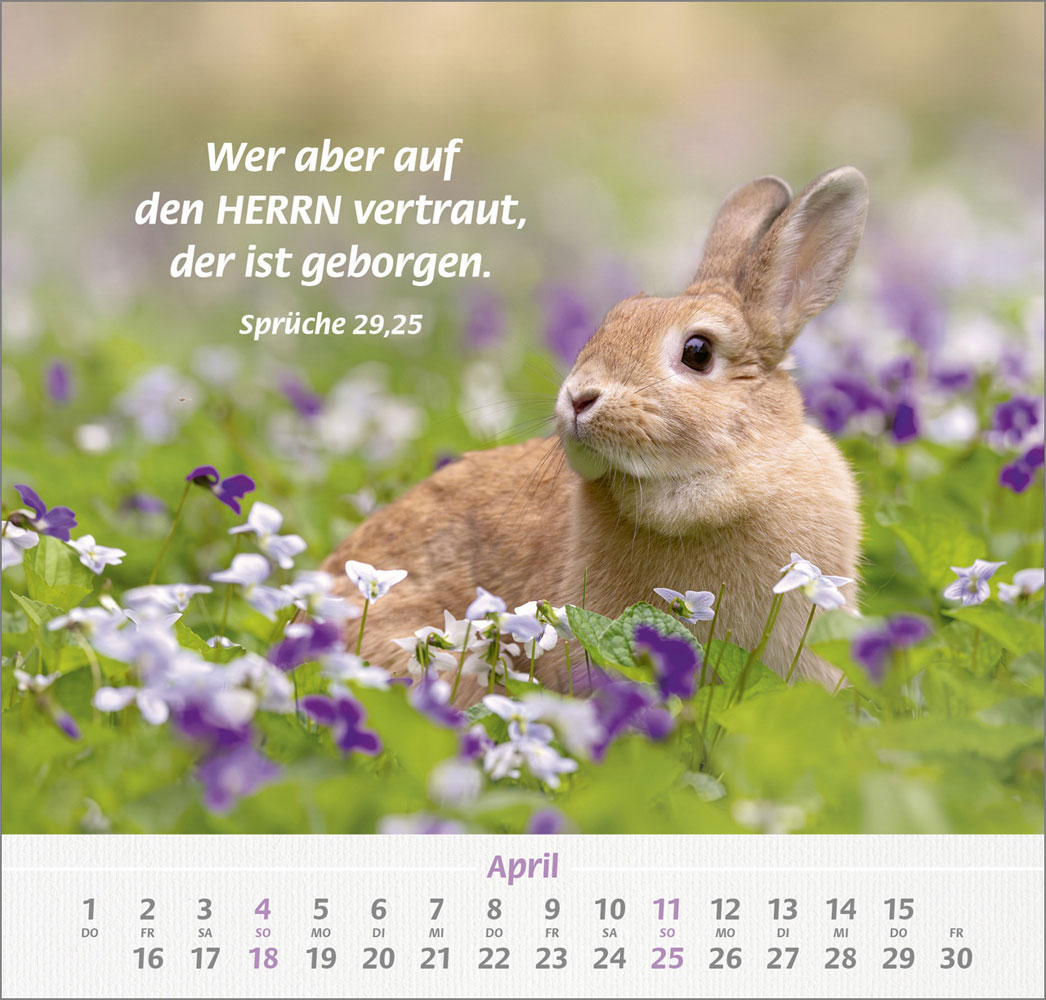 Ich hab dich gern 2027 - Wandkalender