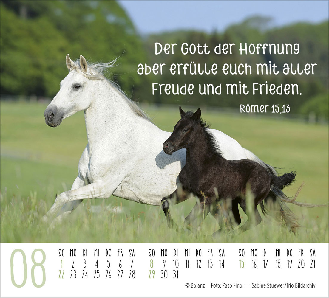 Pferde 2027 - Minikalender