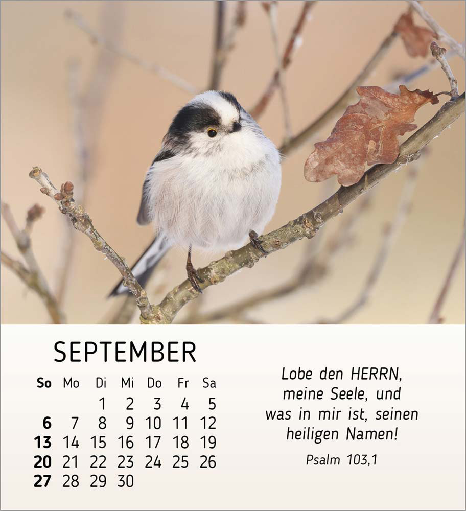 Stille Begegnungen 2026