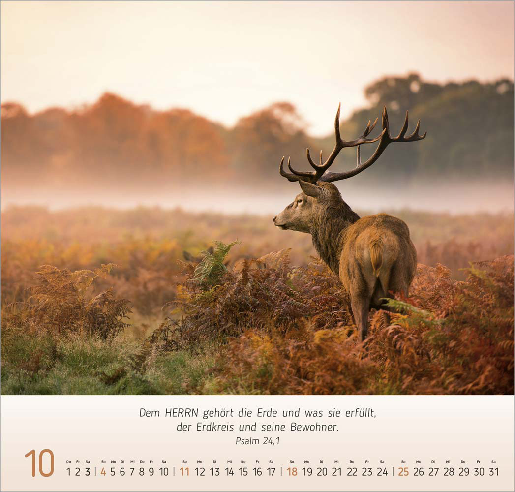 Natur-Impressionen 2026
