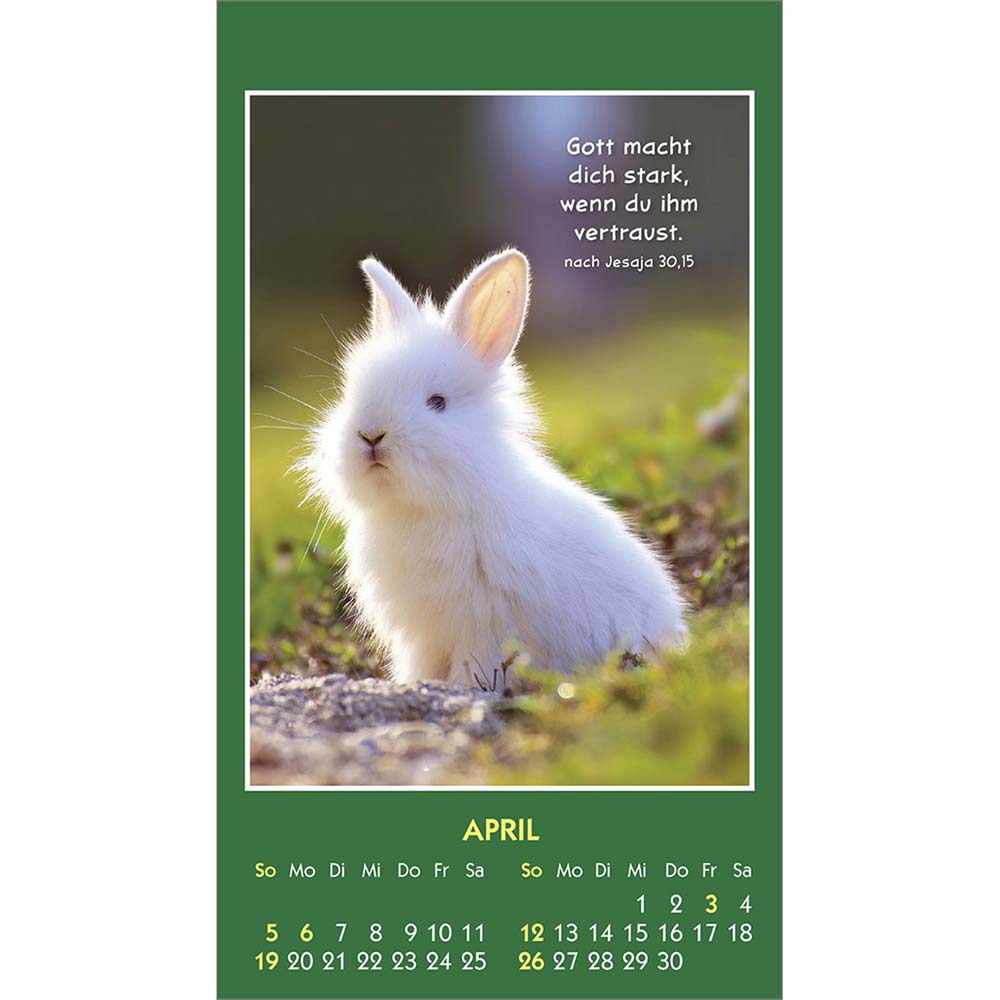 Hallo Du 2026 - Aufkleber-Kalender Hallo Du 2026 - Aufkleber-Kalender