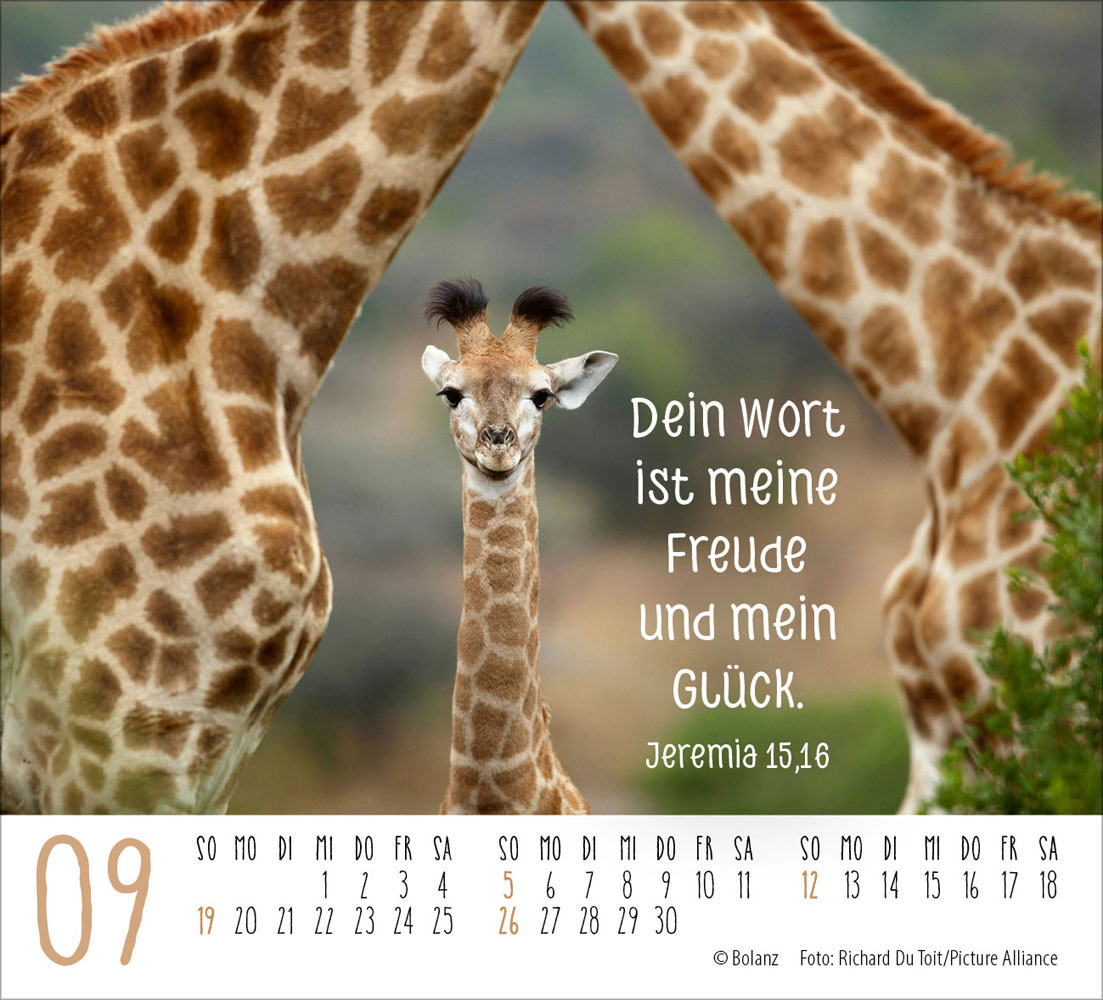 Begegnungen 2027 - Minikalender