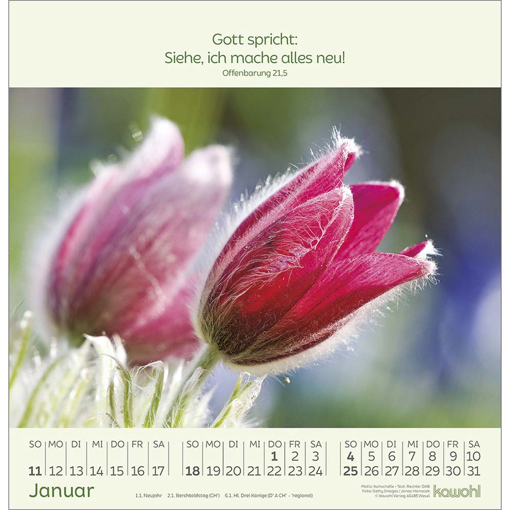 Blumengrüße 2026 - Wandkalender