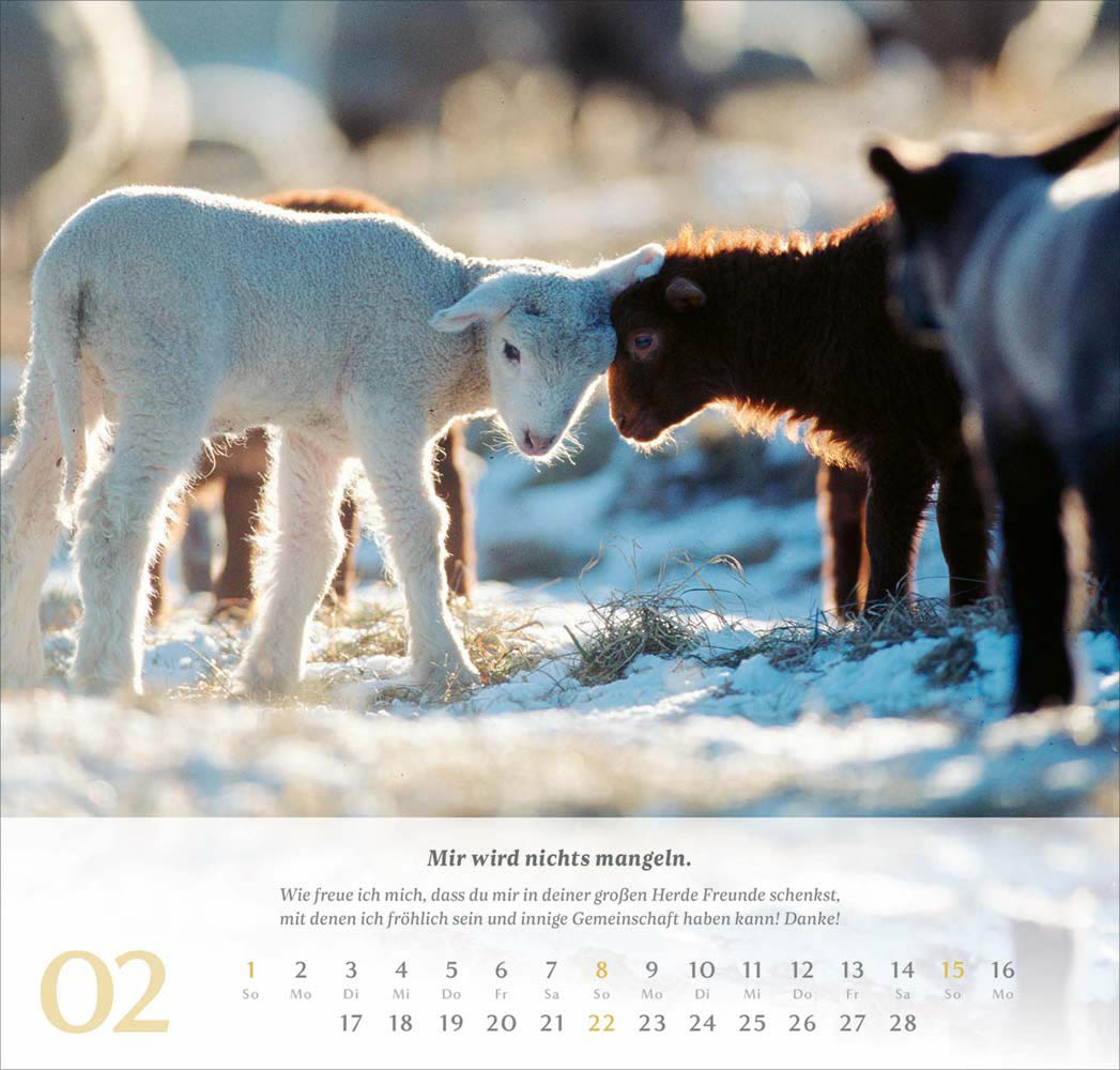 Psalm 23 - Wandkalender 2026