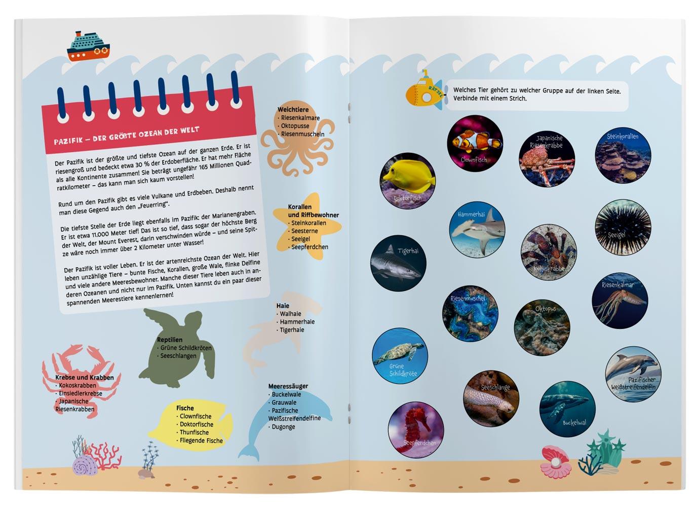 Entdeckerheft "Entdecke die Wasserwelt"