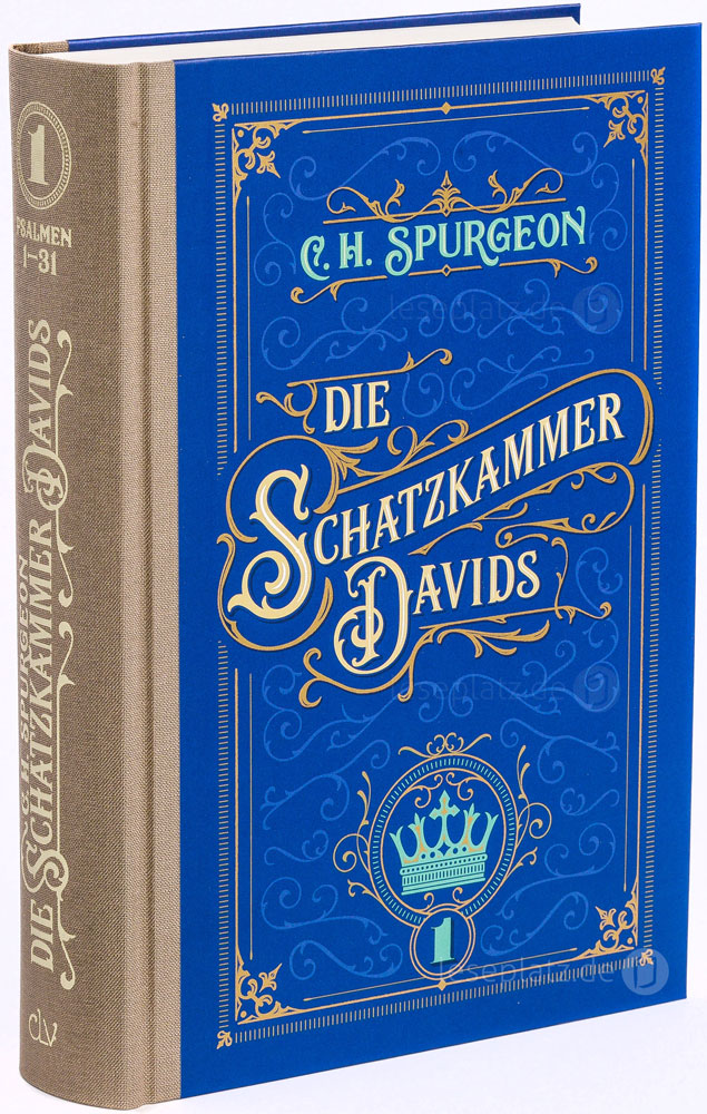 Die Schatzkammer Davids