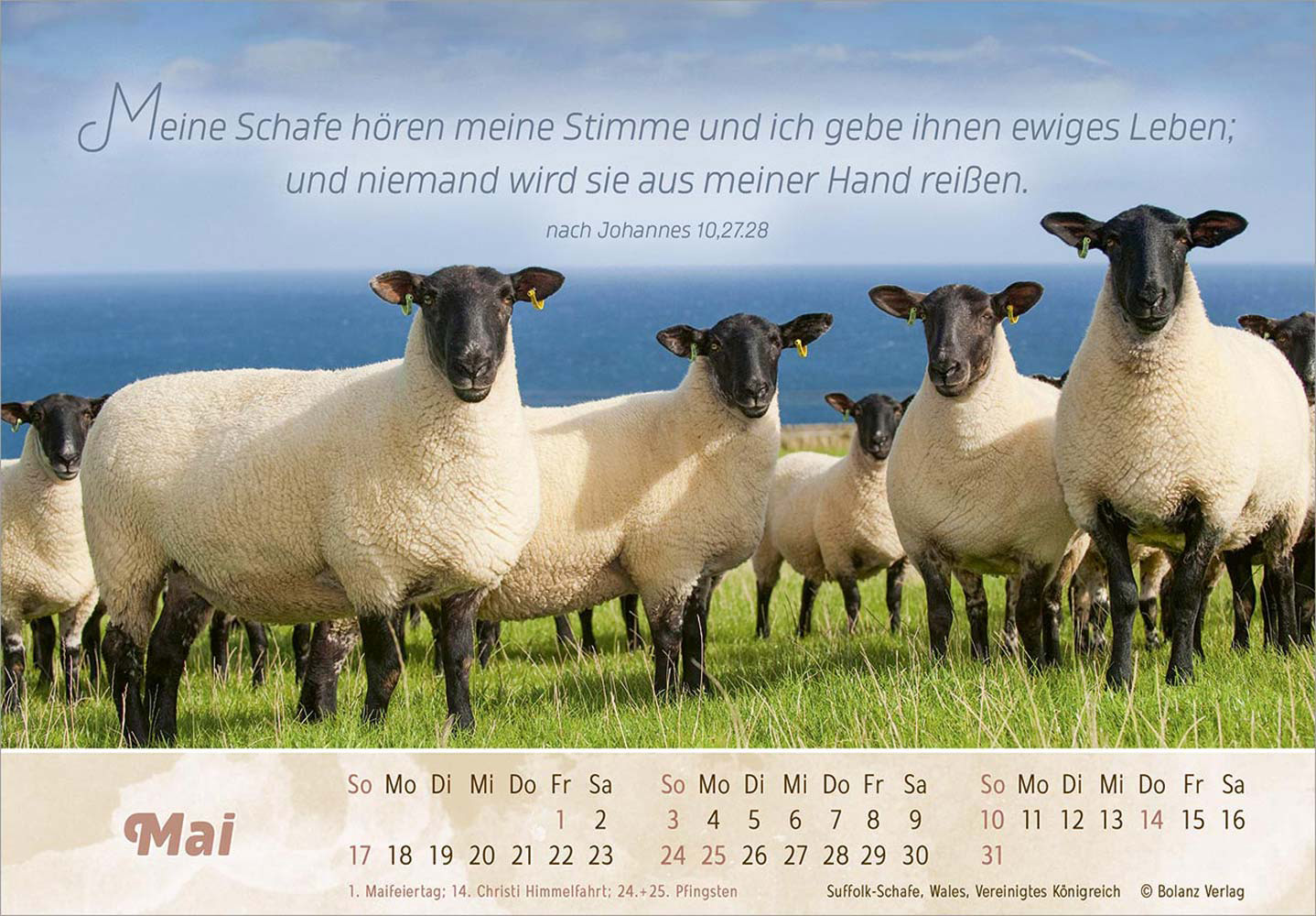 Der Gute Hirte 2026 - Postkartenkalender