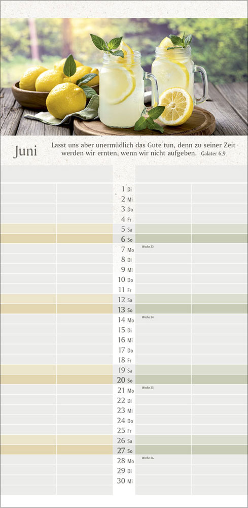 Wir Zwei 2027