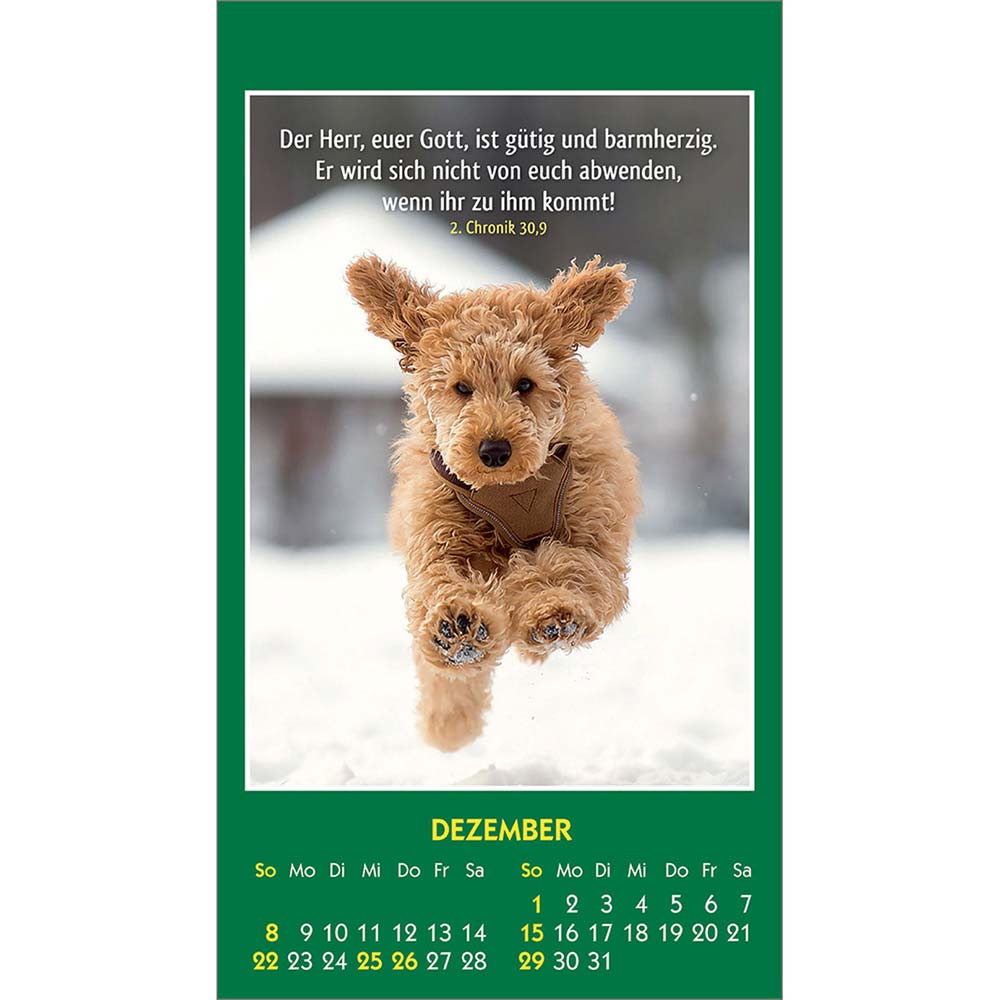 Hallo Du 2024 - Aufkleber-Kalender