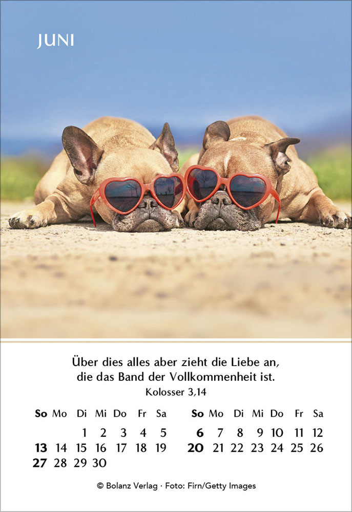 Ein Jahr der Geborgenheit 2027