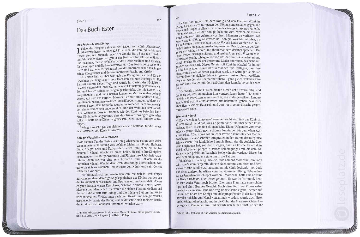 Neues Leben. Die Bibel - Schreibrandausgabe "Kunstleder grau"