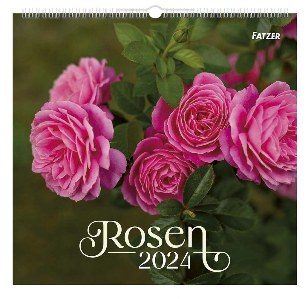 Rosen 2024 - Wandkalender