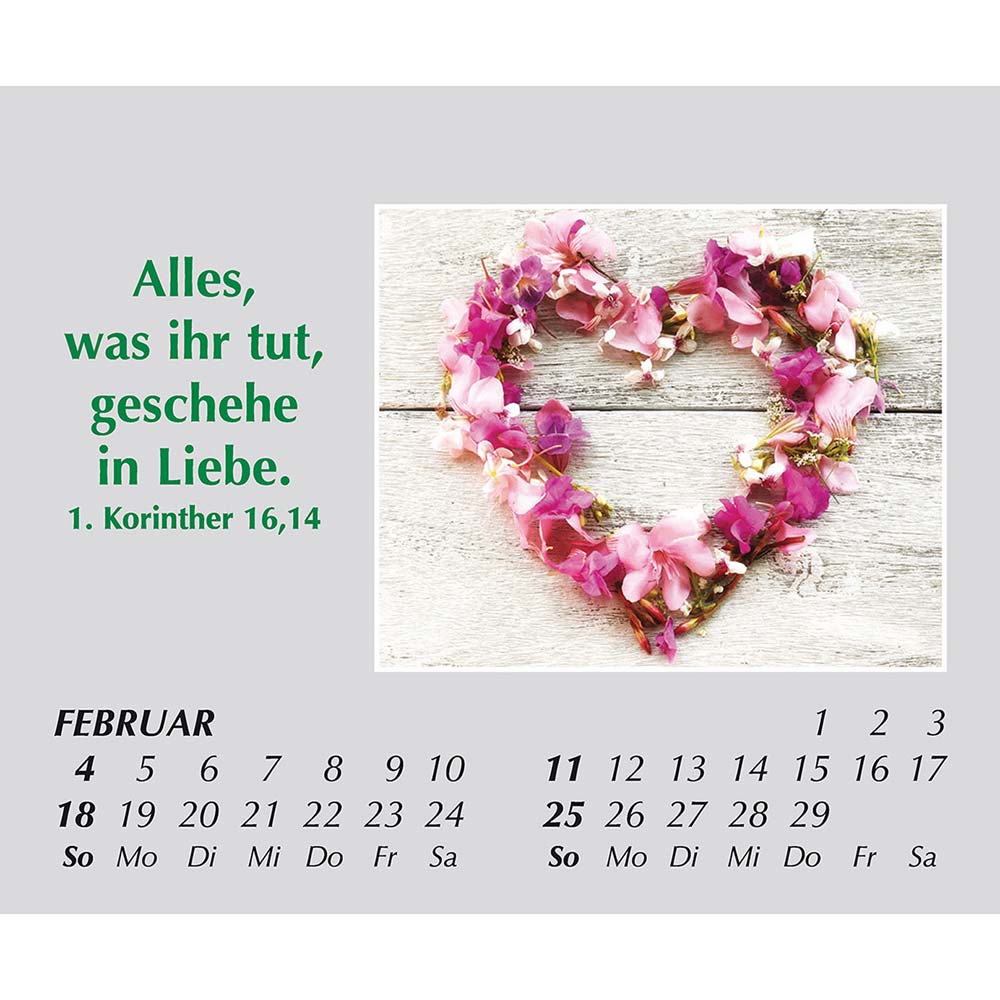 Freude für jeden Tag 2024 Freude für jeden Tag 2024