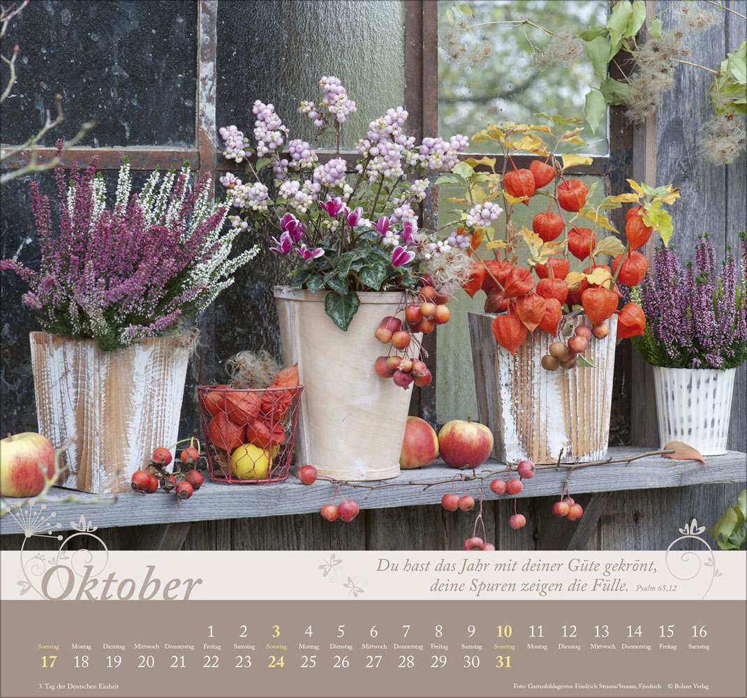 Im Garten zuhause 2027 - Wandkalender