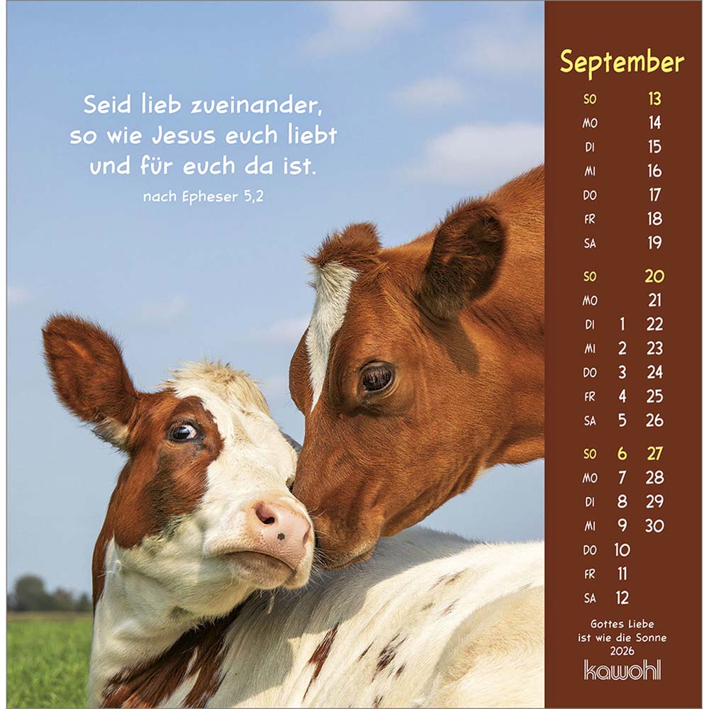 Gottes Liebe ist wie die Sonne 2026 - Postkartenkalender