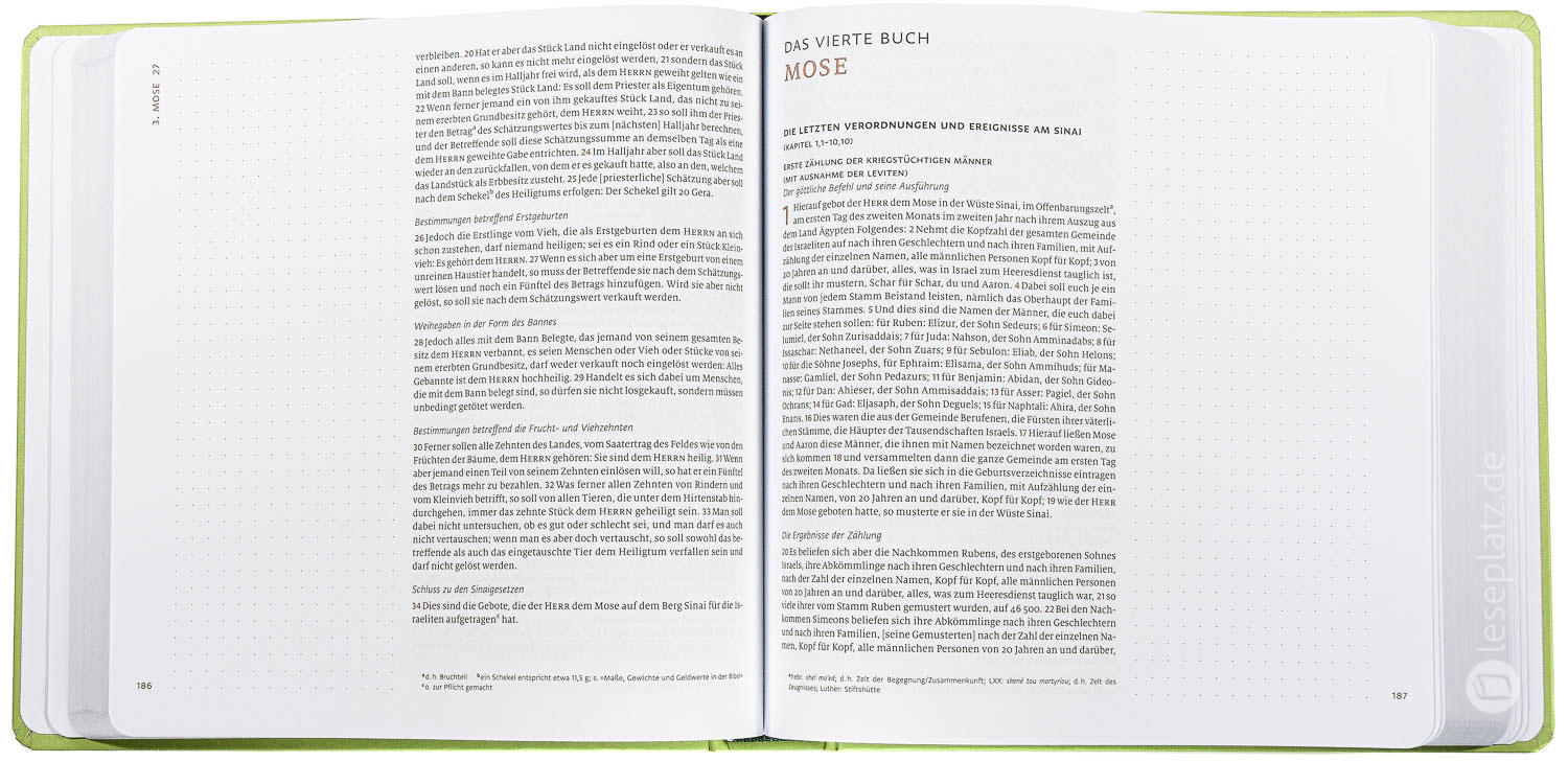 Menge 2020 - Altes Testament Journaling "Mose bis Samuel"