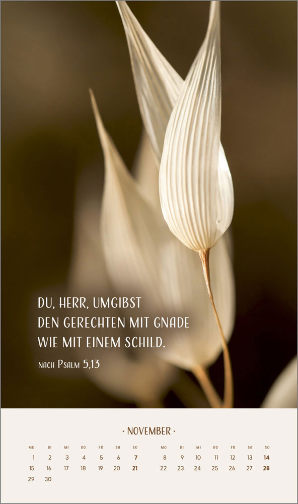 Zarte Blumengrüße 2027 - Wandkalender