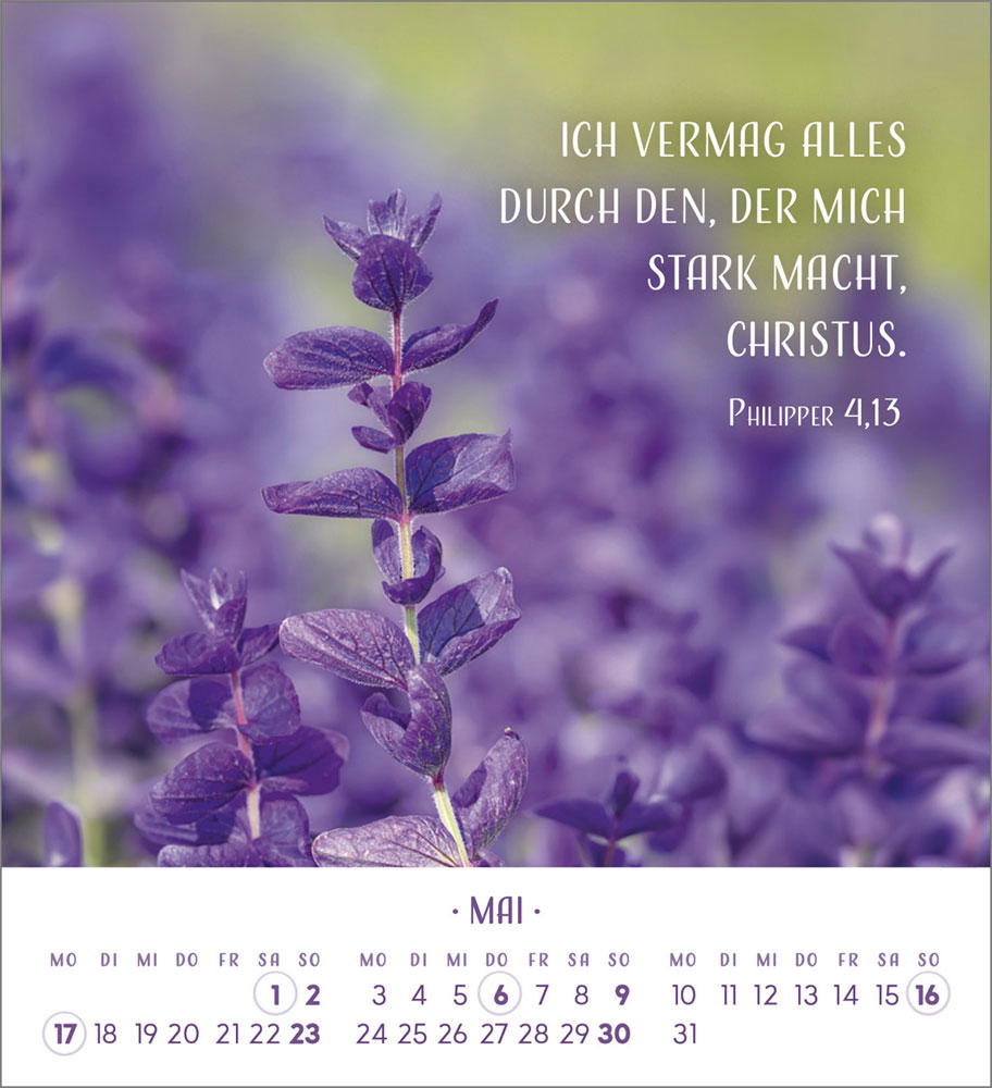 Zarte Blumengrüße 2027 - Tischkalender