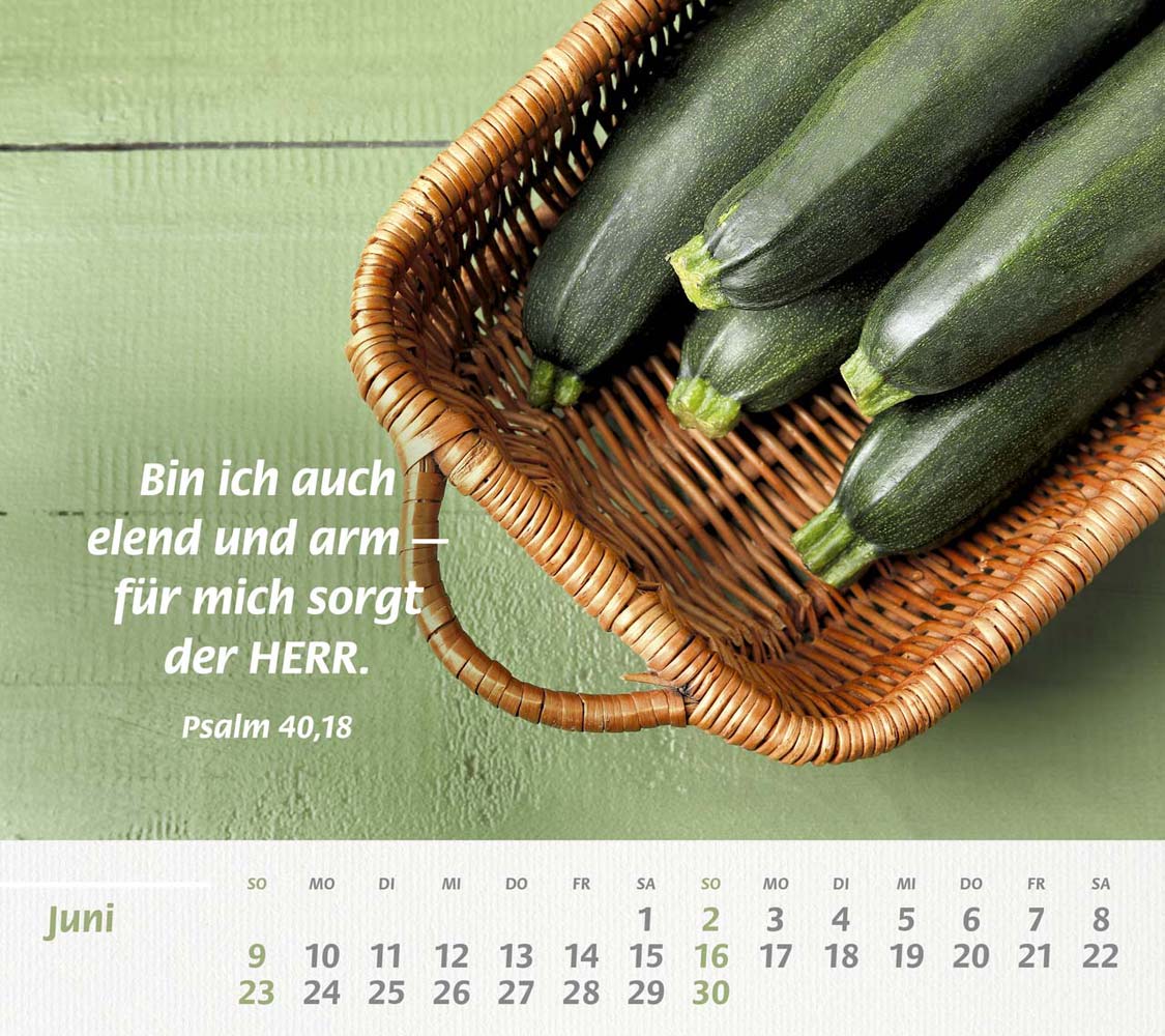 Du bist meine Stärke 2024 Du bist meine Stärke 2024