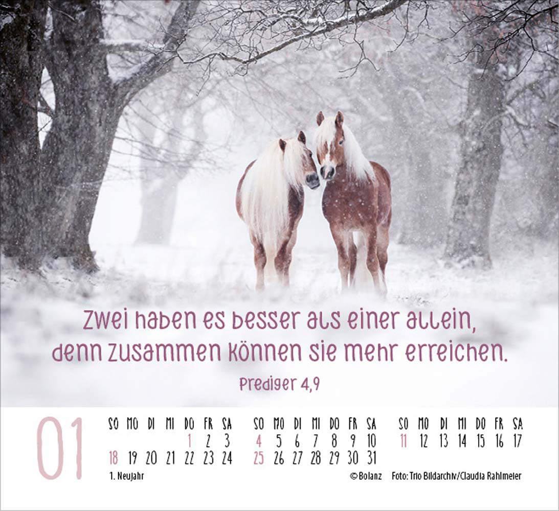 Begegnungen 2026 - Minikalender