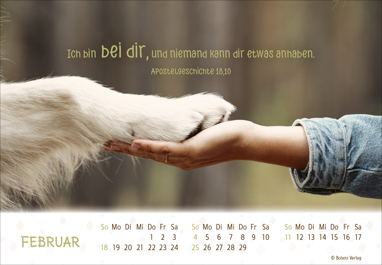 Danke Dir 2024 - Postkartenkalender Danke Dir 2024 - Postkartenkalender