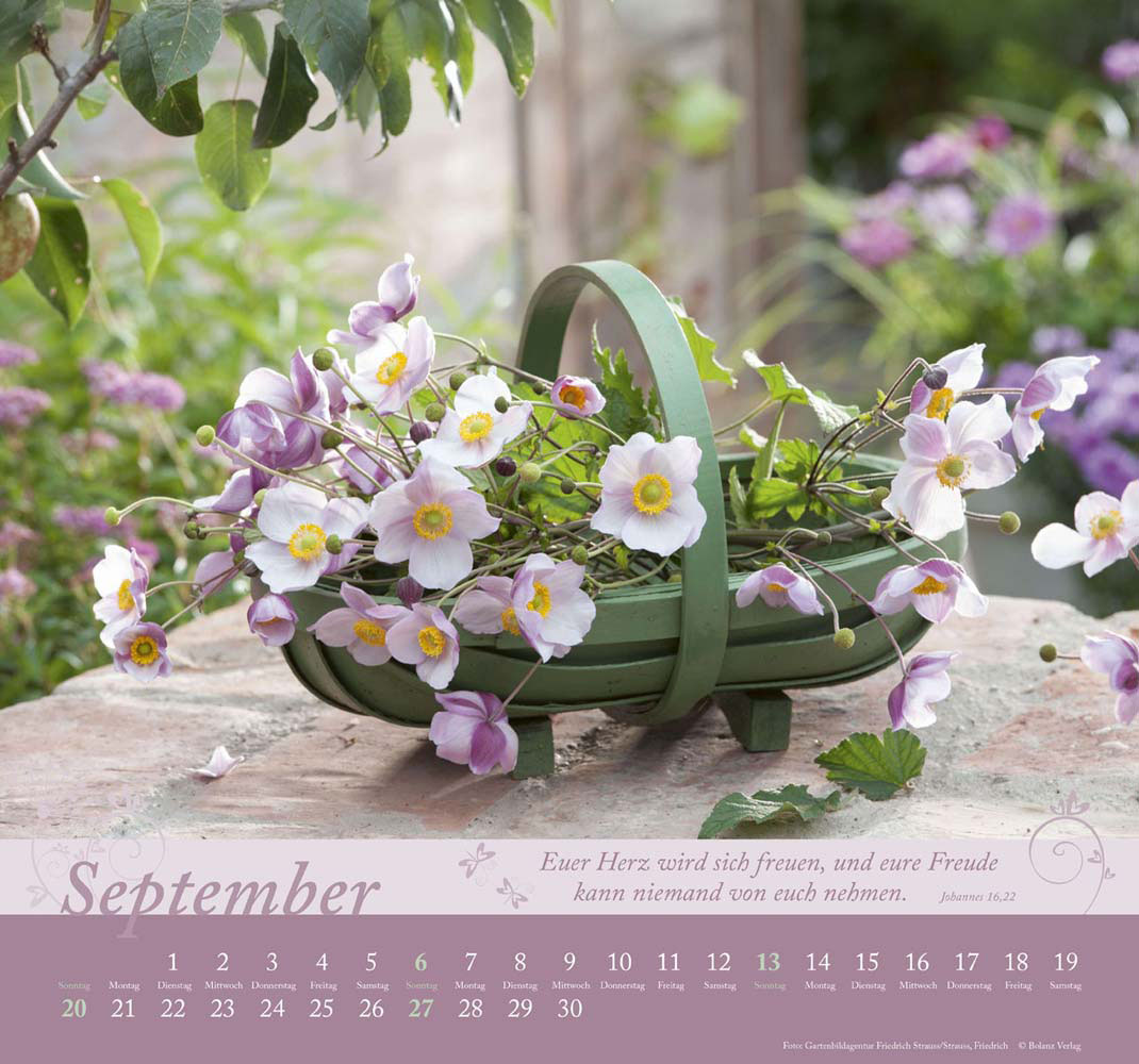 Im Garten zuhause 2026 - Wandkalender