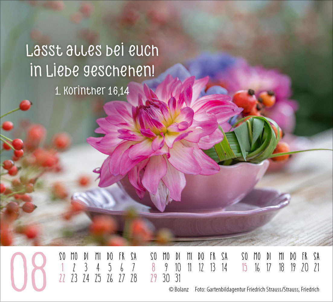 Harmonien für die Seele 2027 - Minikalender
